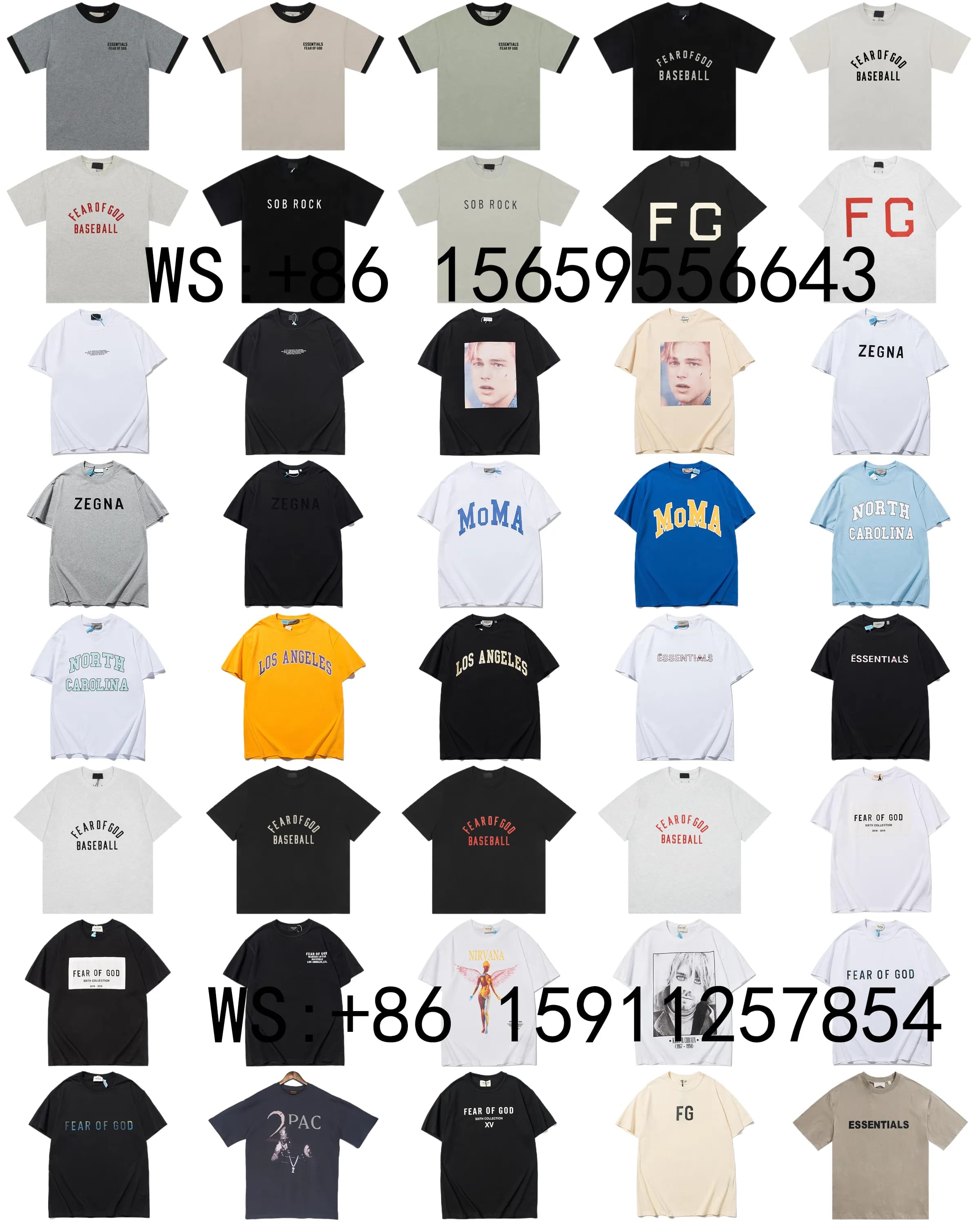 T（434） (49)
